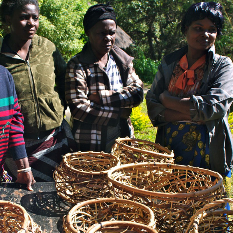 Dansk design omsat til afrikanske rammer