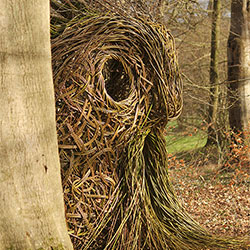 Anne Mette Hjørnholm