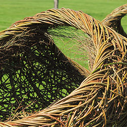 Anne Mette Hjørnholm