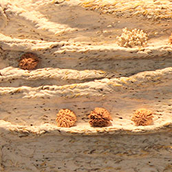 baskets4life udstilling: Dimensions