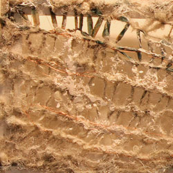 baskets4life udstilling: Dimensions